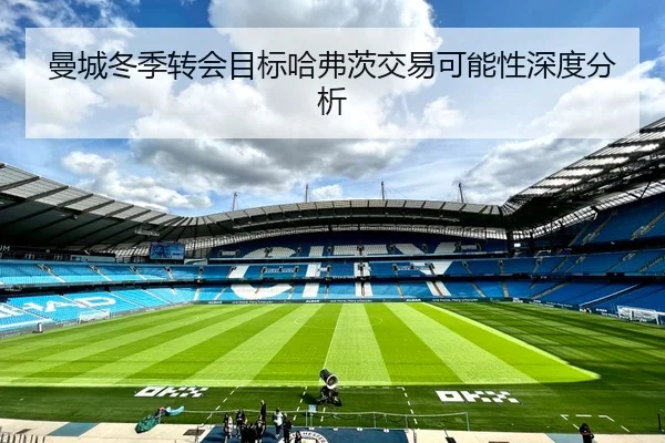曼城冬季转会目标哈弗茨交易可能性深度分析